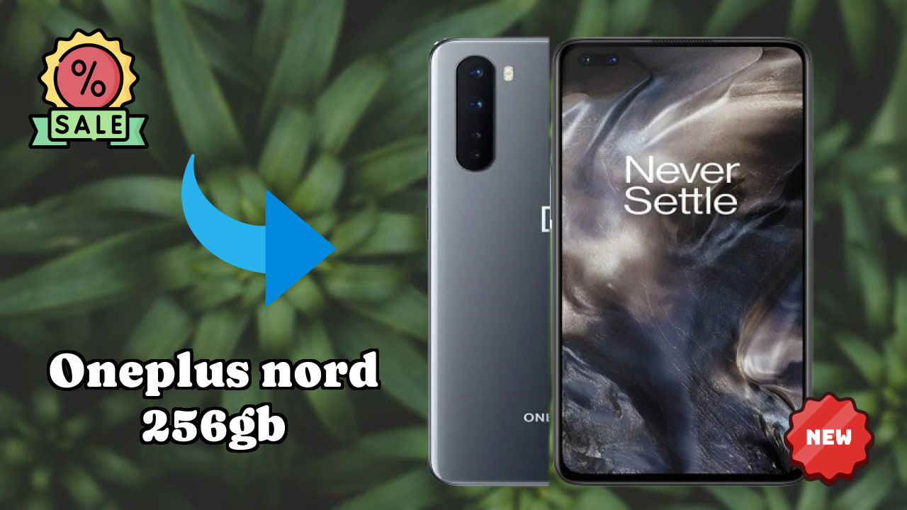 OnePlus Nord 256GB Camera Review: 48 MP + 8 MP + 5 MP + 2 MP Rear Camera Photo Samples